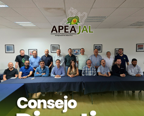 Consejo Directivo APEAJAL 2025-2027