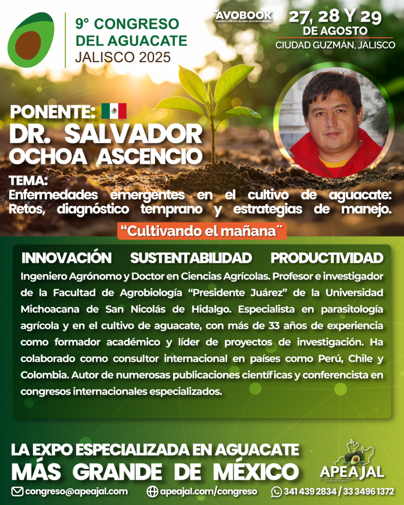 Salvador Ochoa Ascencio